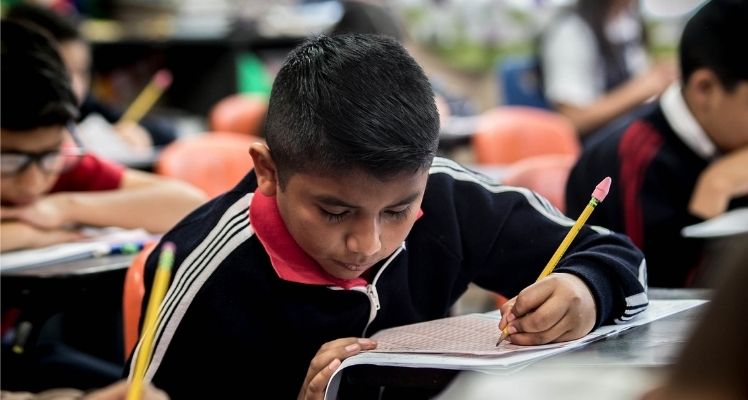 Estudiante estudiando jovenes