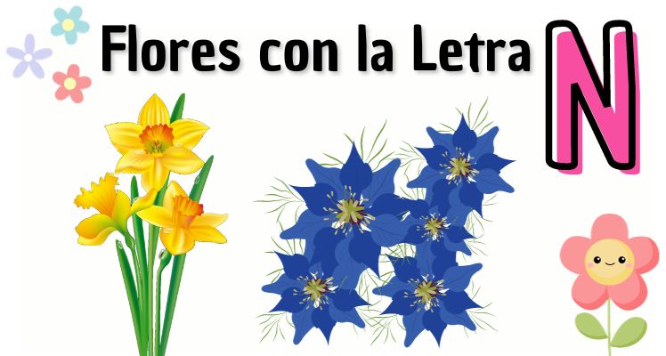 ejemplos de flores con n