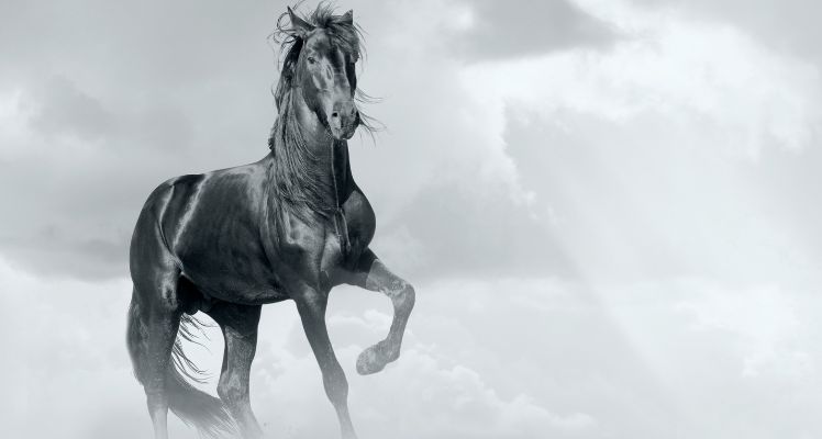 leyenda del charro negro