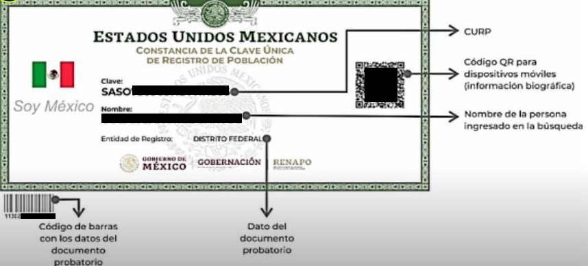 partes del curp