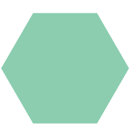 poligono Hexagono