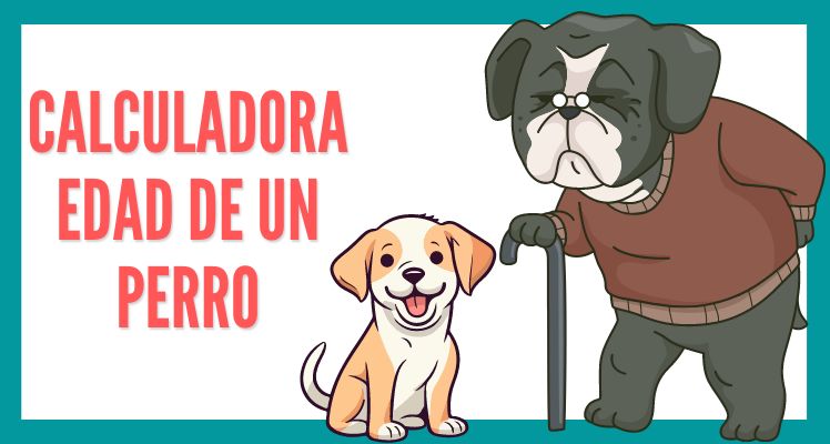 calculadora edad de un perro