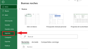 1️⃣ Cómo Hacer para Imprimir una Hoja de Excel Completa - Reporte de ...