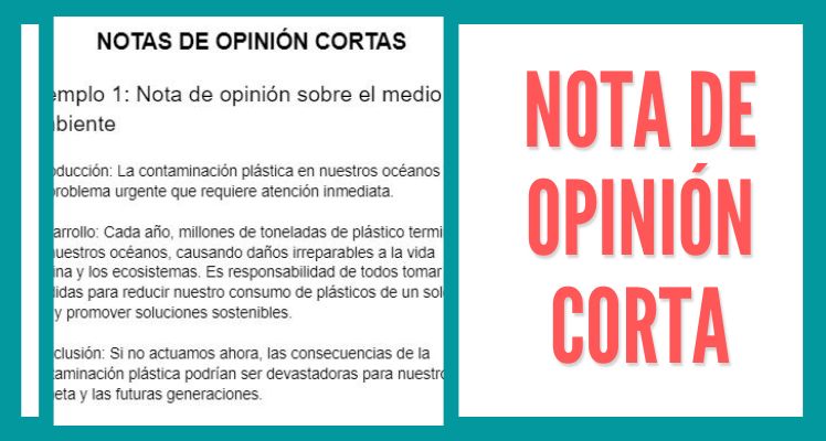 nota de opinion corta imprimir