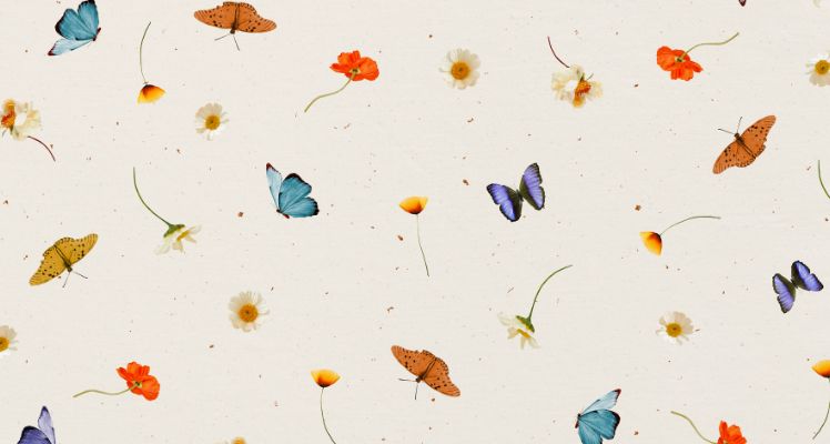 poema corto de mariposas inventados